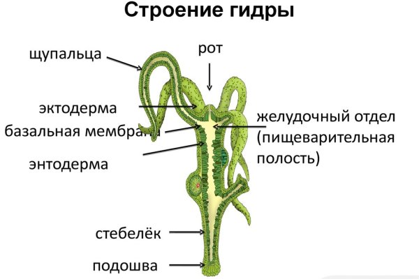 Кракен как зарегистрироваться