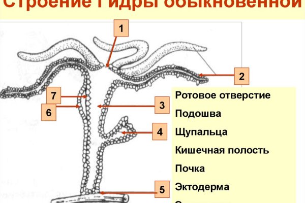 Ссылка на кракен свежая