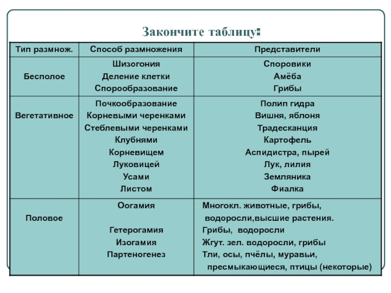 Кракен магазин нарков