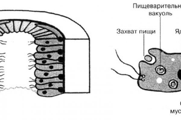 Kraken зеркало krakens13 at